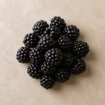 dunkle Brombeeren