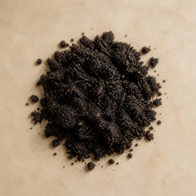 Erde