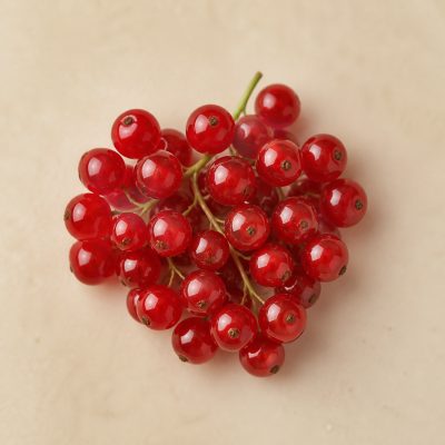 rote Beeren