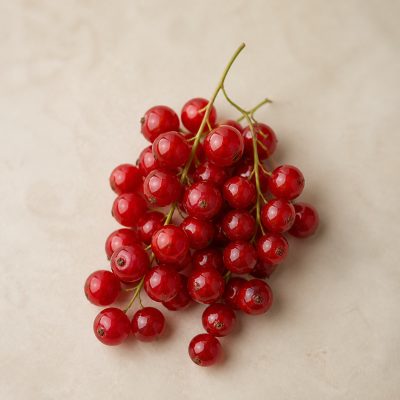 rote Johannisbeere