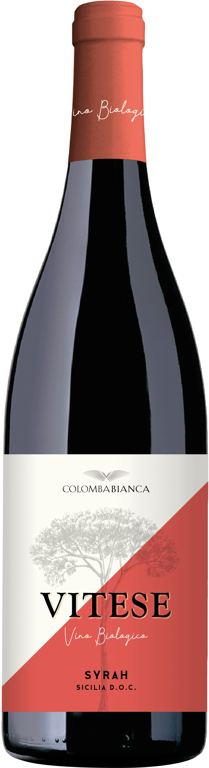 Colomba Bianca Vitese Syrah Sicilia DOC 2024 BIO