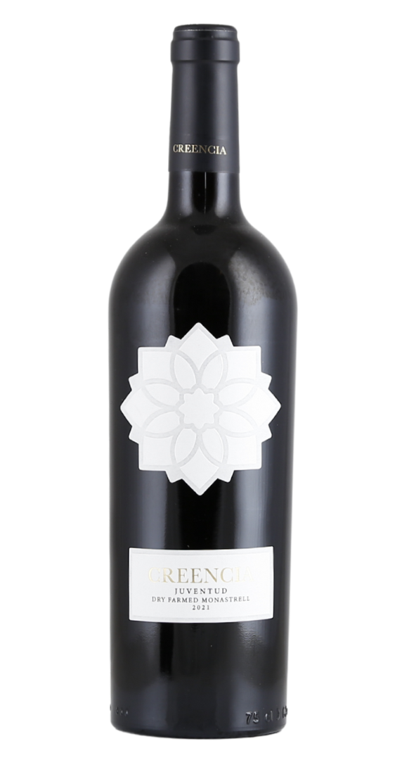 Hammeken Cellars Creencia con Juventud 2021 Produktbild