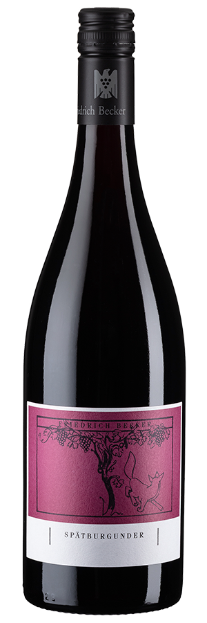 Weingut Friedrich Becker Le Petit Pinot Noir VDP 2020 Produktbild
