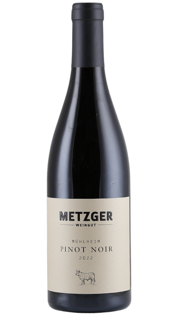 Weingut Metzger Pinot Noir Mühlheim trocken 2022 Produktbild