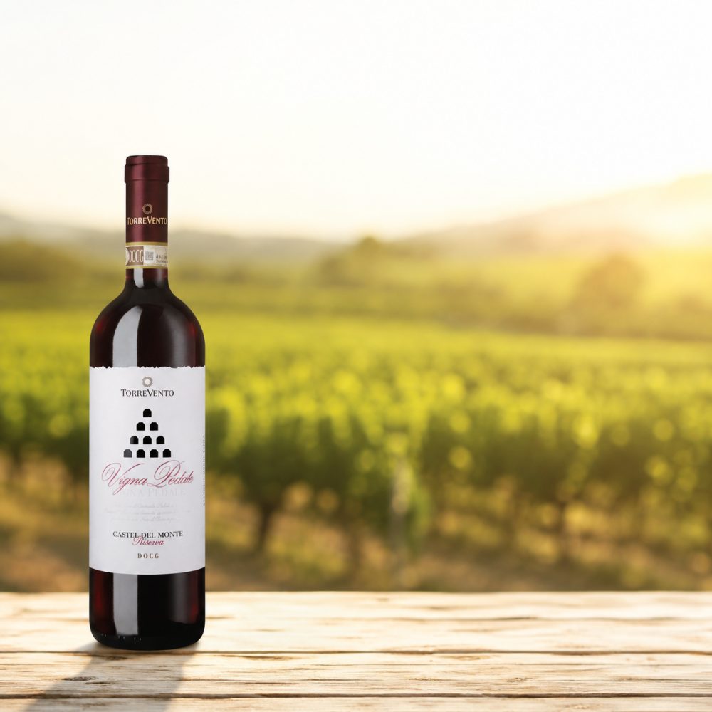 Vigna Pedale Riserva, Castel del Monte Rosso Riserva DOCG, Apulien, 2019, Rotwein