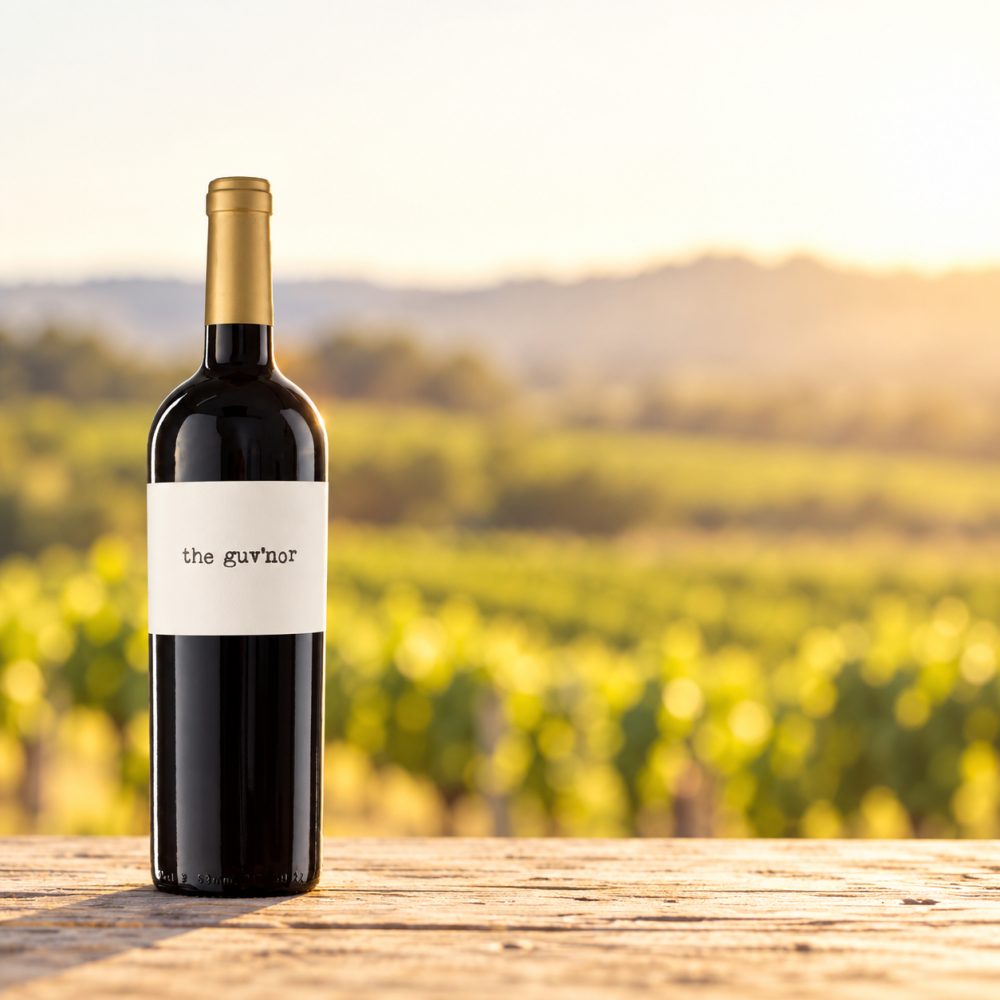 The Guvnor Tinto, Valdepeñas DO, Kastilien - La Mancha, Rotwein