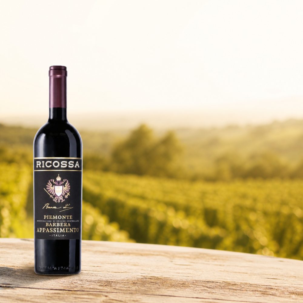 Ricossa Barbera Appassimento, Piemonte DOC, Piemont, 2023, Rotwein