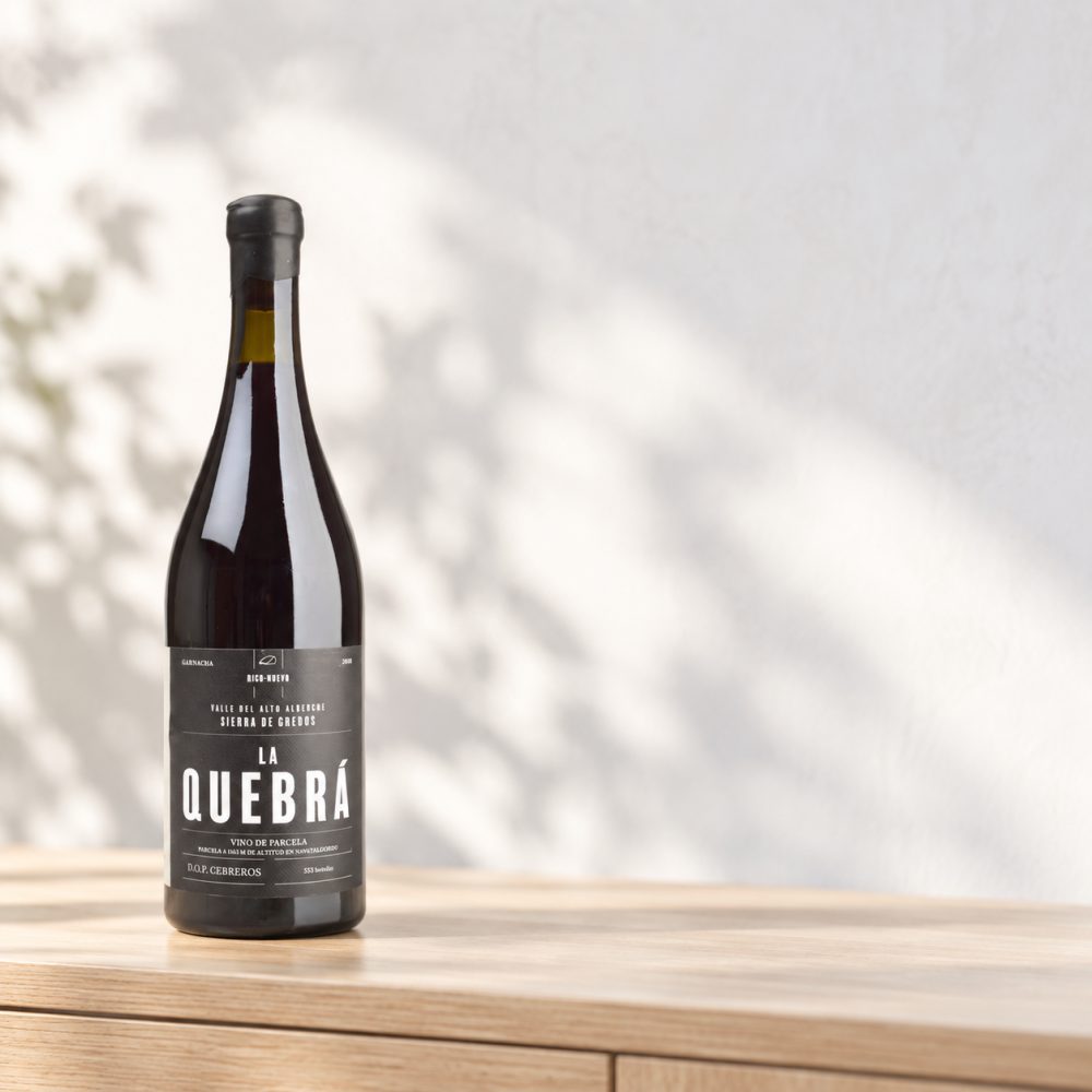 Rico Nuevo La Quebrá, Cebreros DO, Kastilien - León, 2019, Rotwein