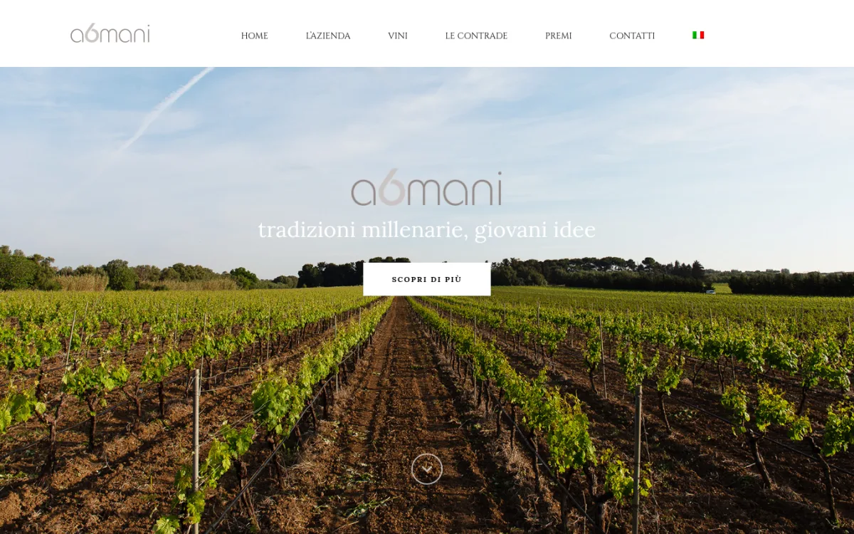Startseite von a6mani.com