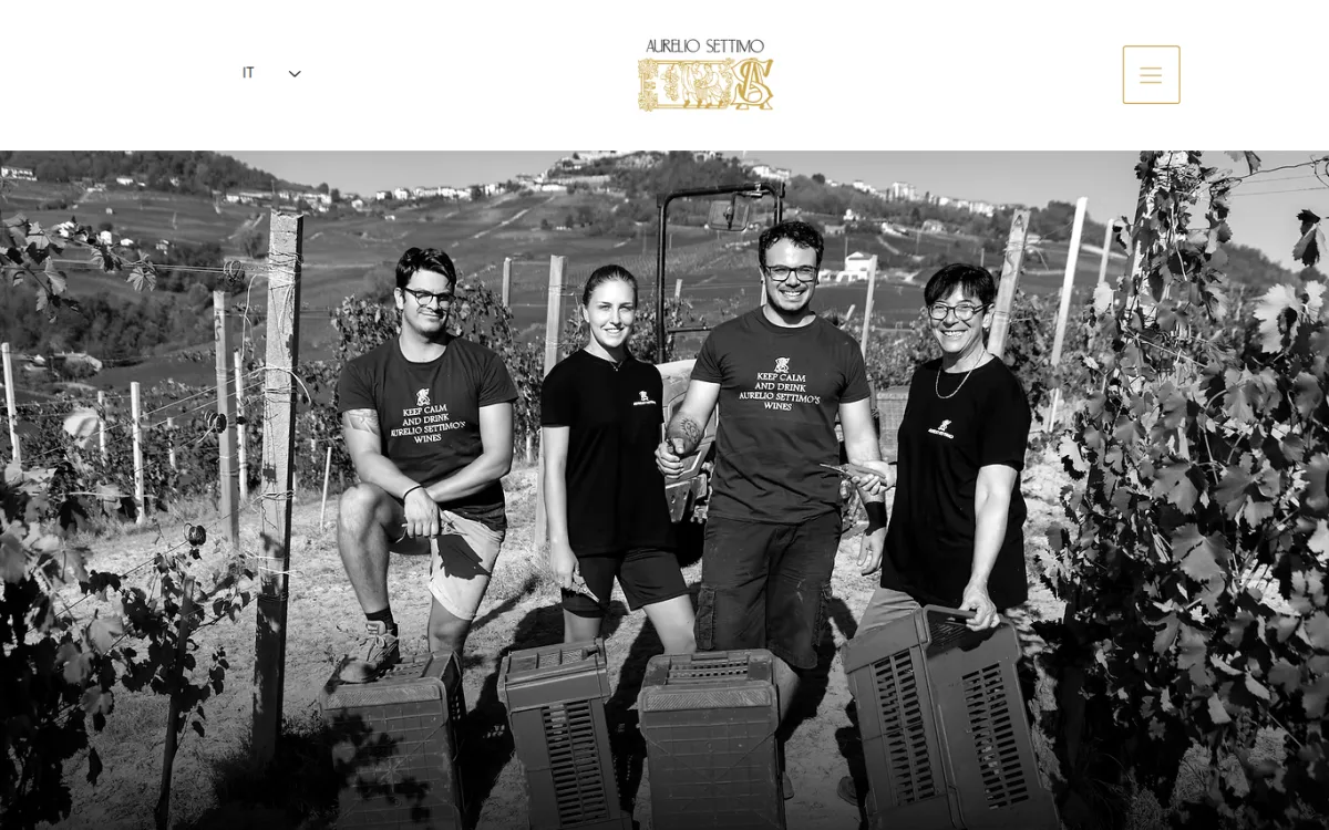 Startseite von aureliosettimowines.com
