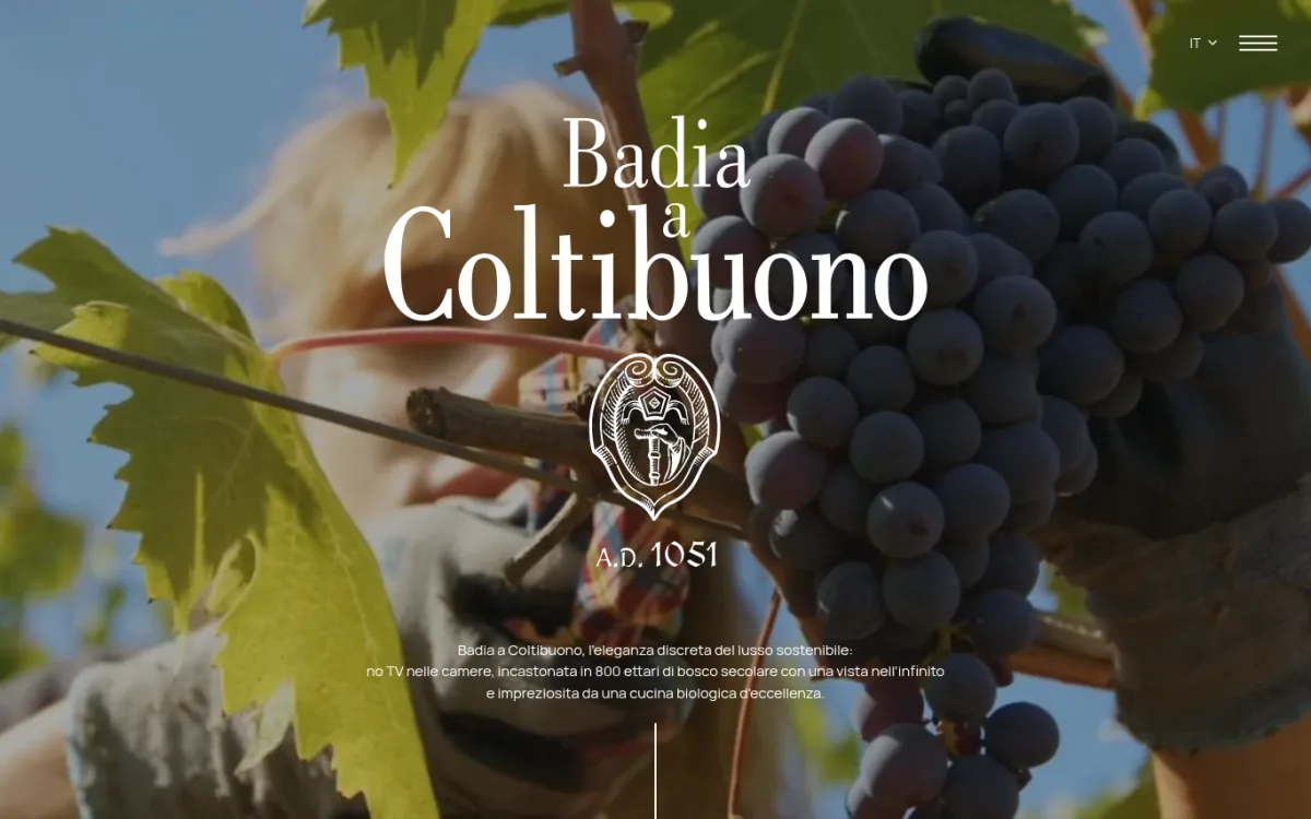 Startseite von coltibuono.com