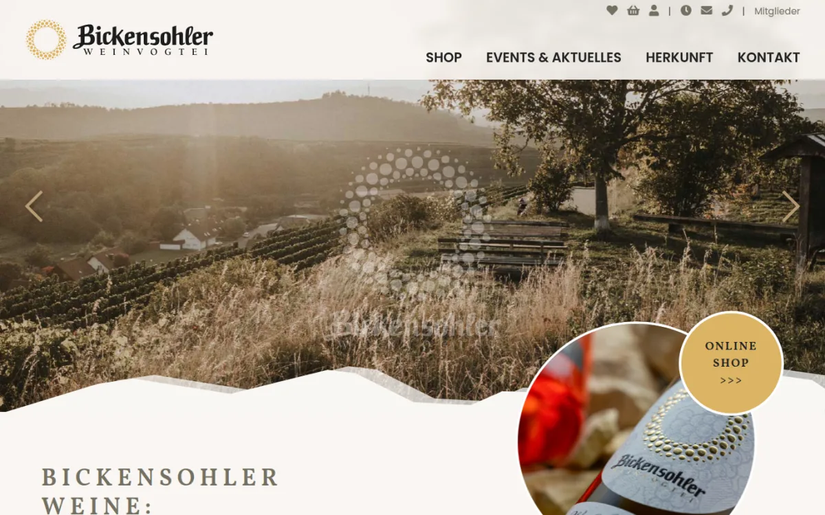 Startseite von bickensohler.de
