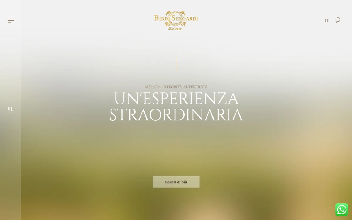 Startseite von bindisergardi.it