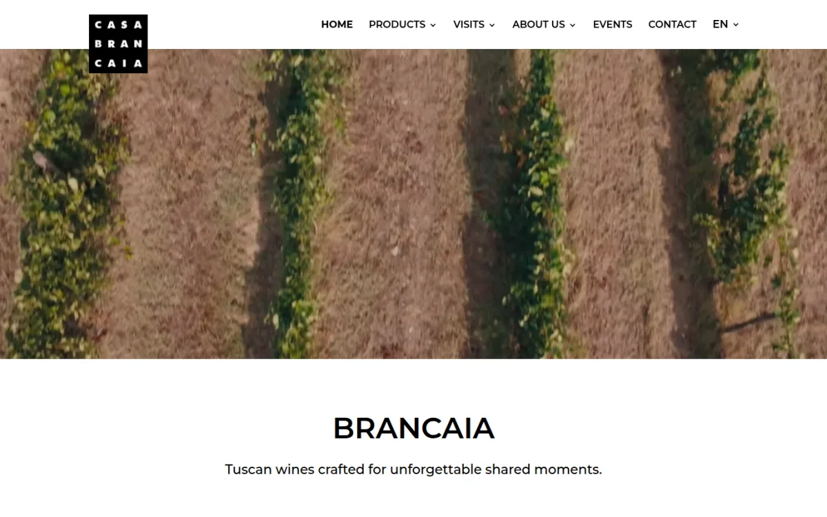 Startseite von brancaia.com