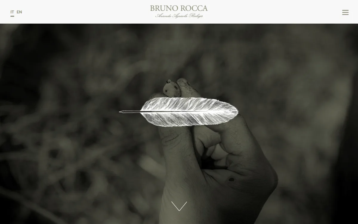 Startseite von brunorocca.it