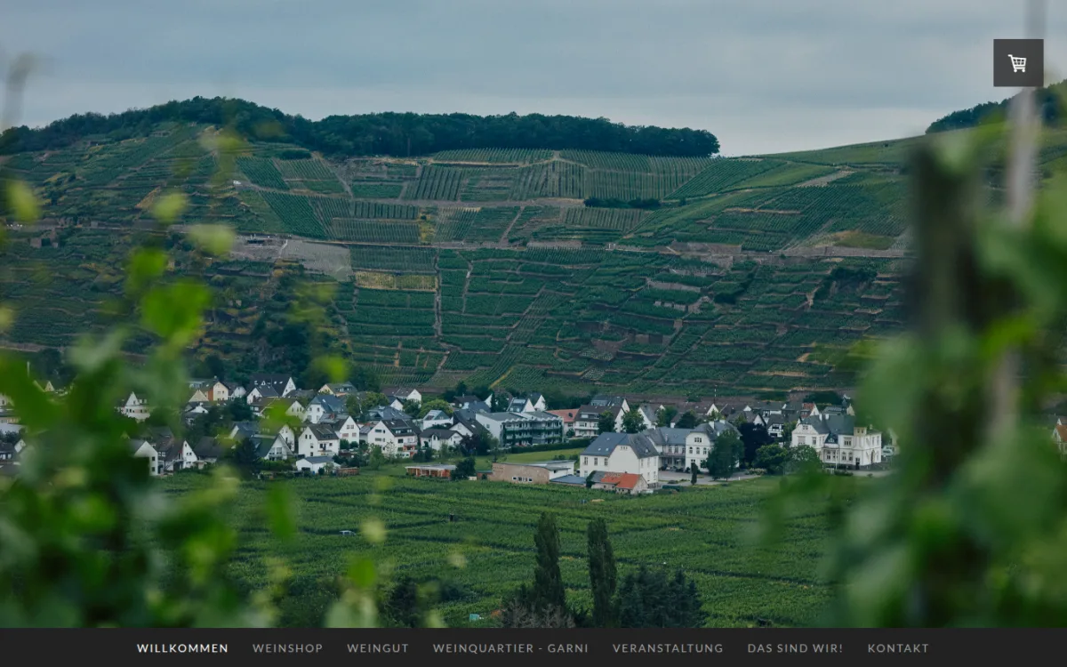 Startseite von weingut-burggarten.de