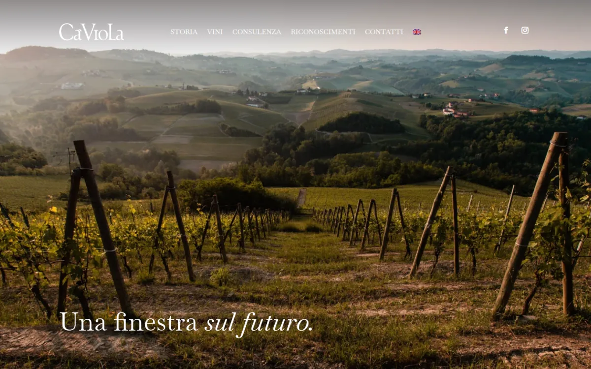 Startseite von caviola.com