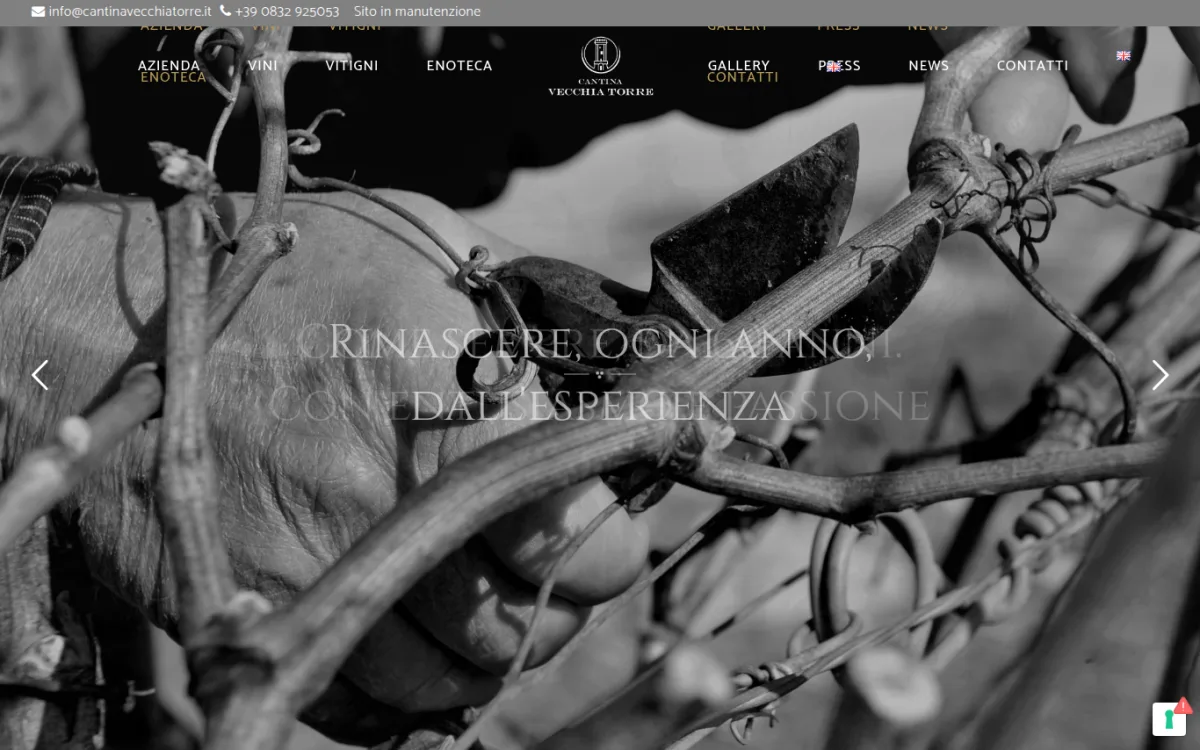 Startseite von cantinavecchiatorre.it