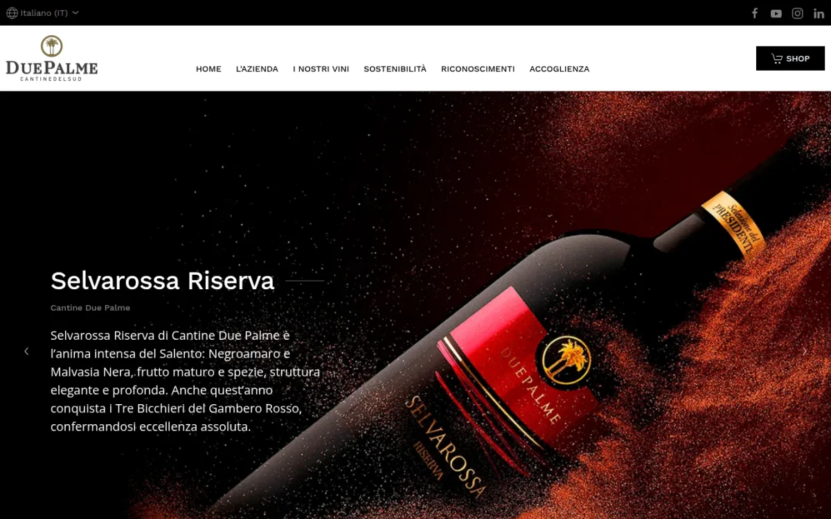 Startseite von cantineduepalme.wine