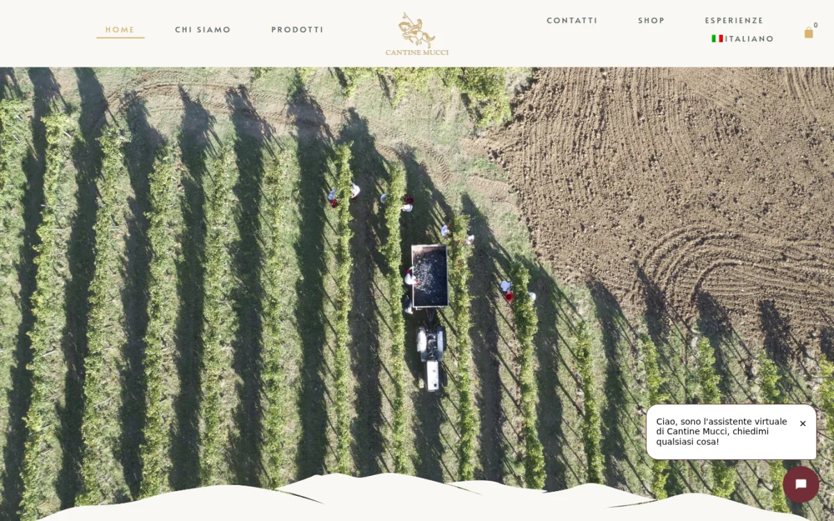 Startseite von cantinemucci.com