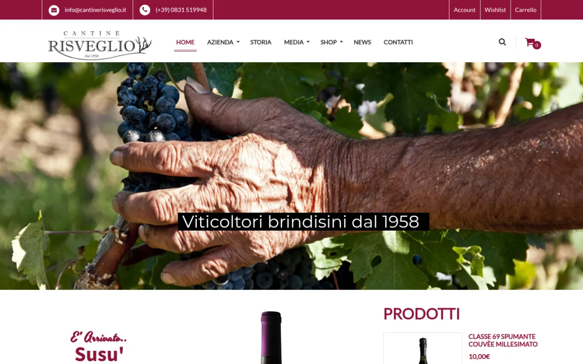 Startseite von cantinerisveglio.it