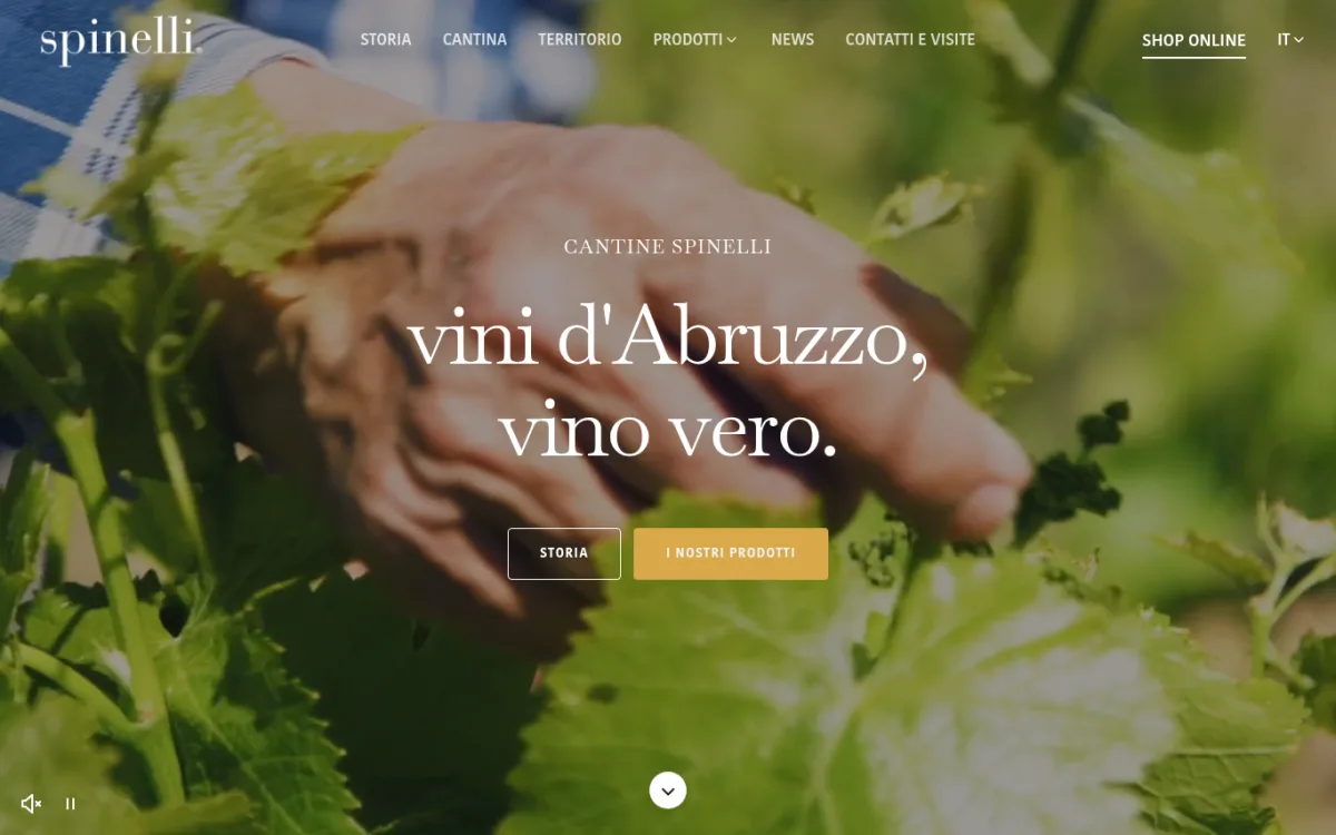 Startseite von cantinespinelli.it