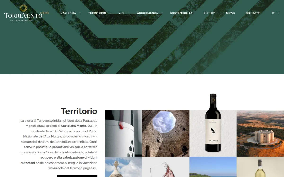 Startseite von torrevento.it