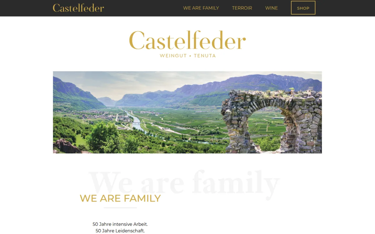 Startseite von castelfeder.it