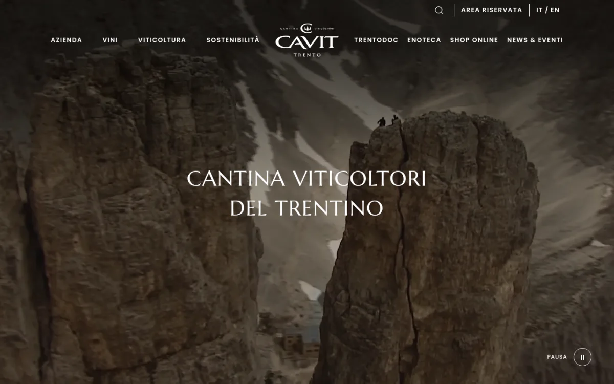 Startseite von cavit.it