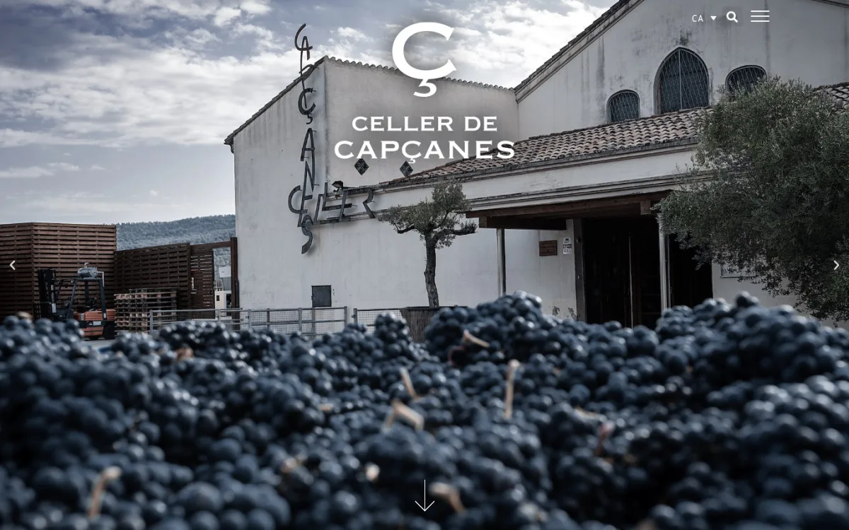 Startseite von cellercapcanes.com