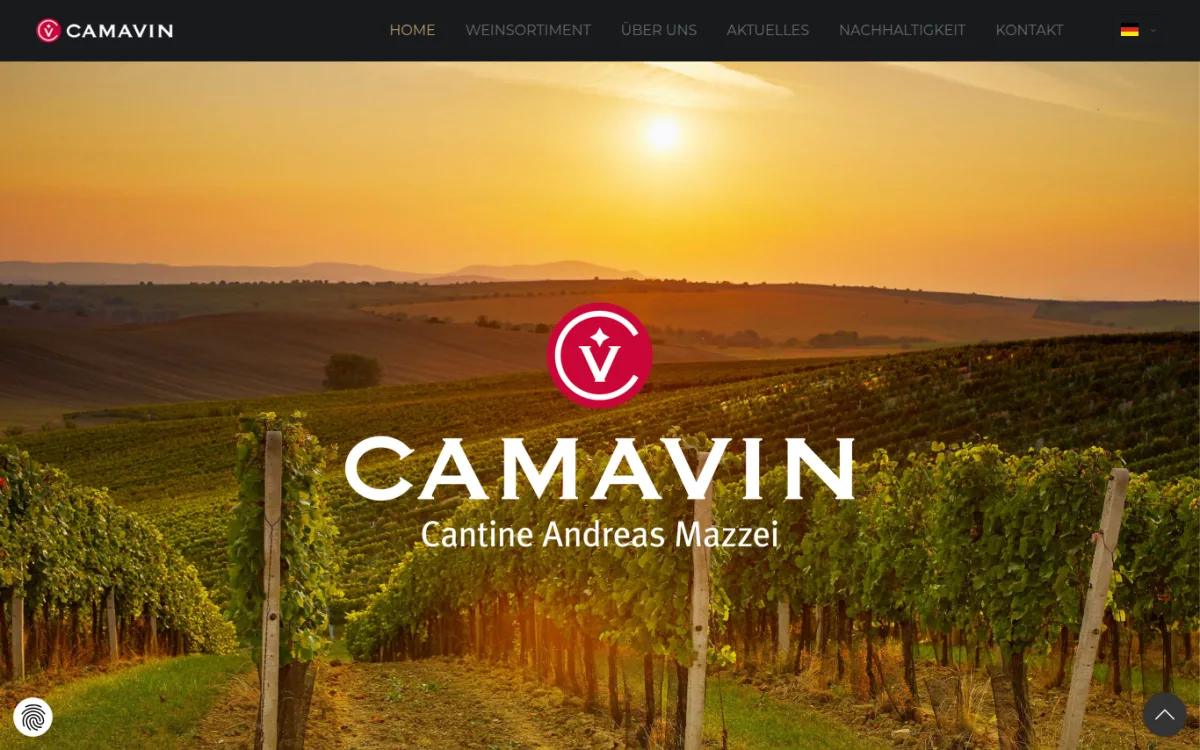 Startseite von camavin.it