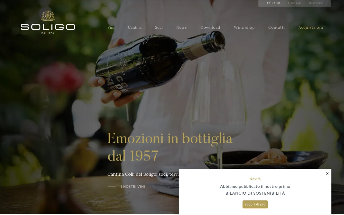 Startseite von collisoligo.com
