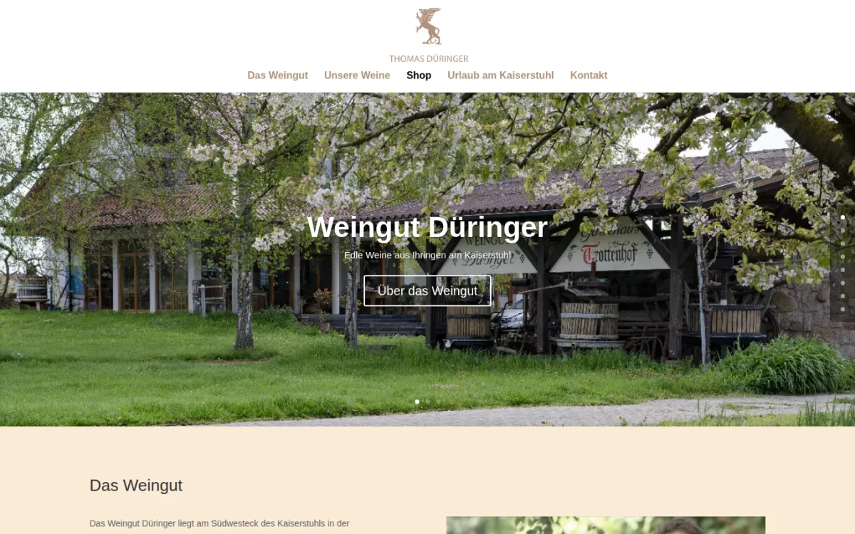 Startseite von weingut-dueringer.de