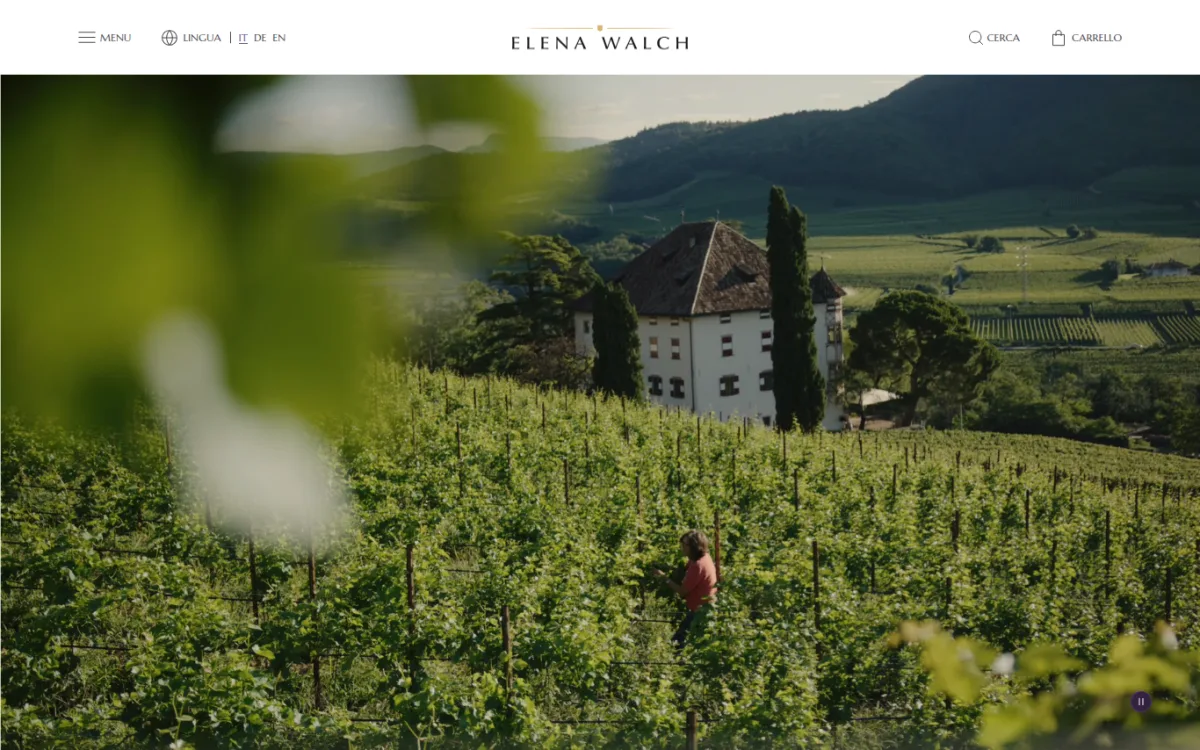 Startseite von elenawalch.com