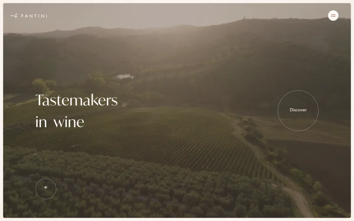 Startseite von fantiniwines.com