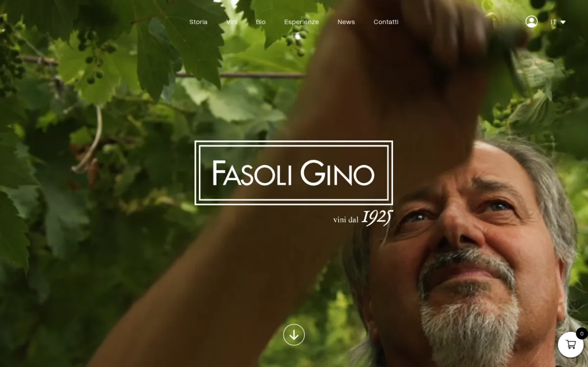 Startseite von fasoligino.com