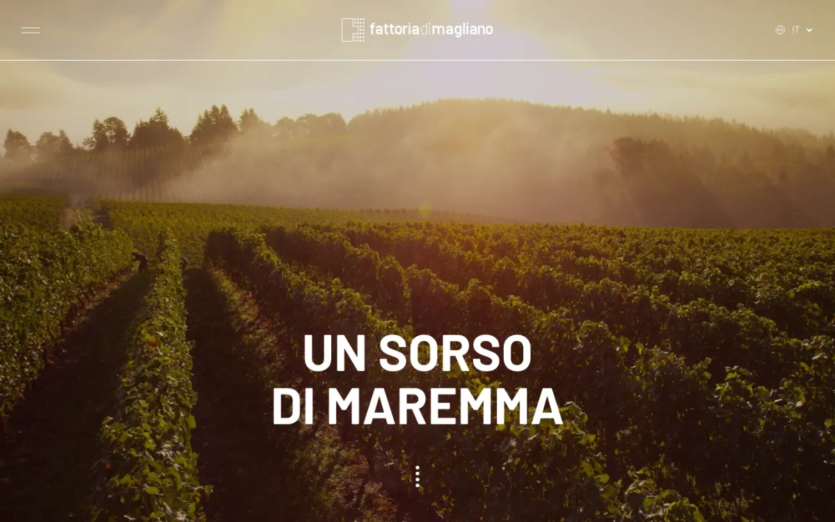 Startseite von fattoriadimagliano.it