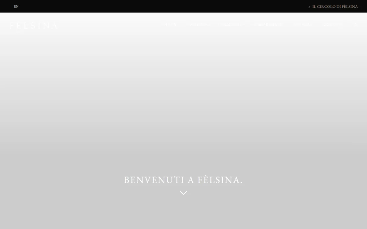 Startseite von felsinawines.com
