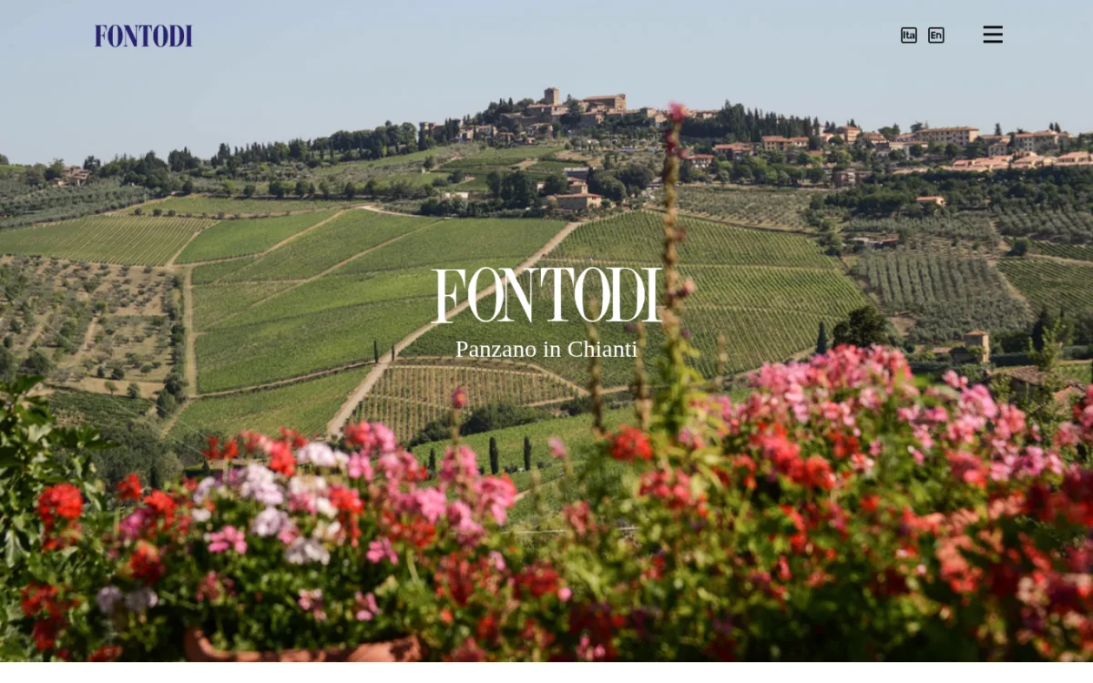 Startseite von fontodi.com