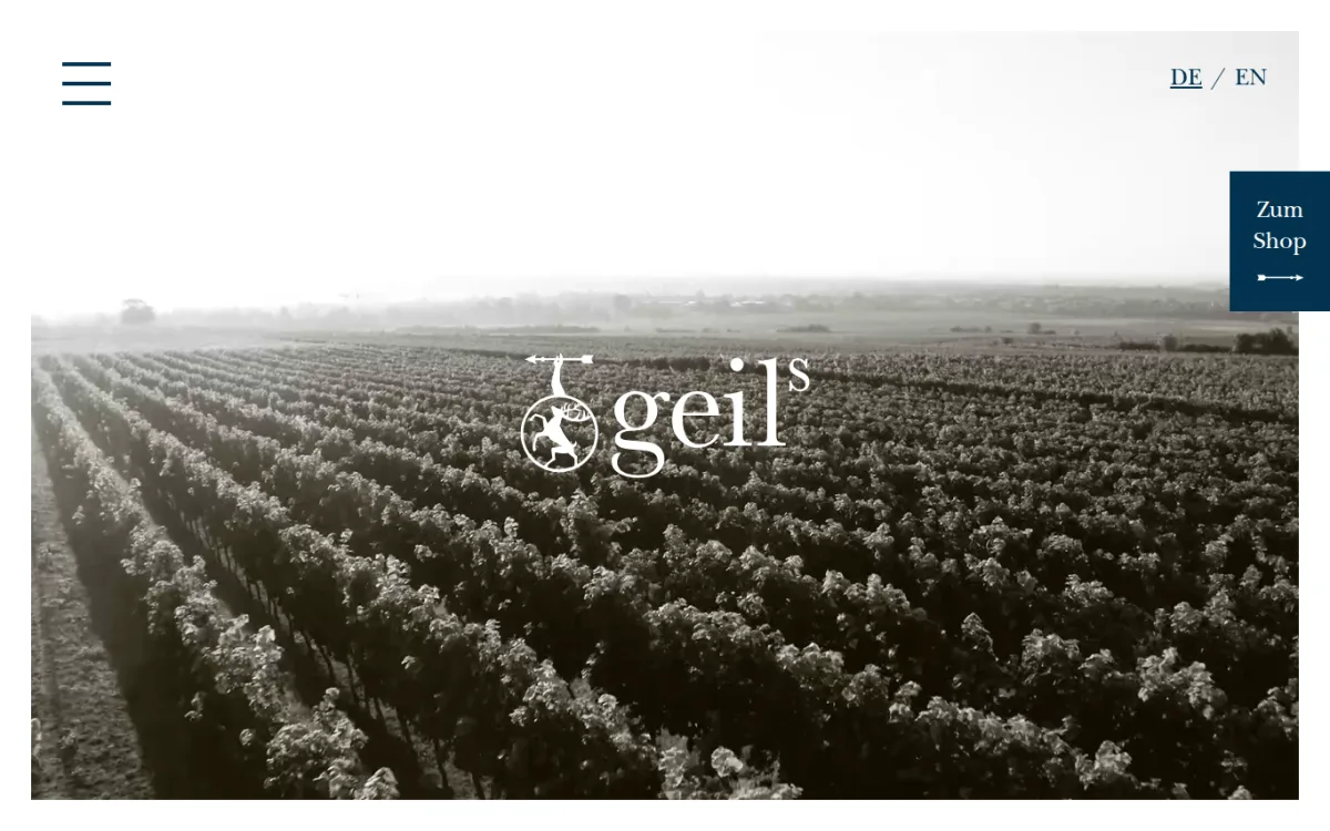 Startseite von geils.de