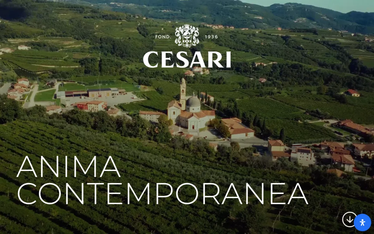 Startseite von cesari.it
