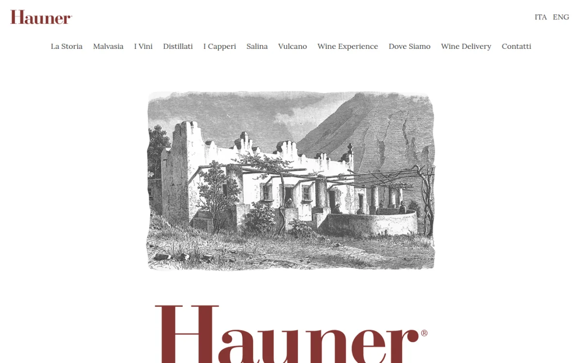 Startseite von hauner.it
