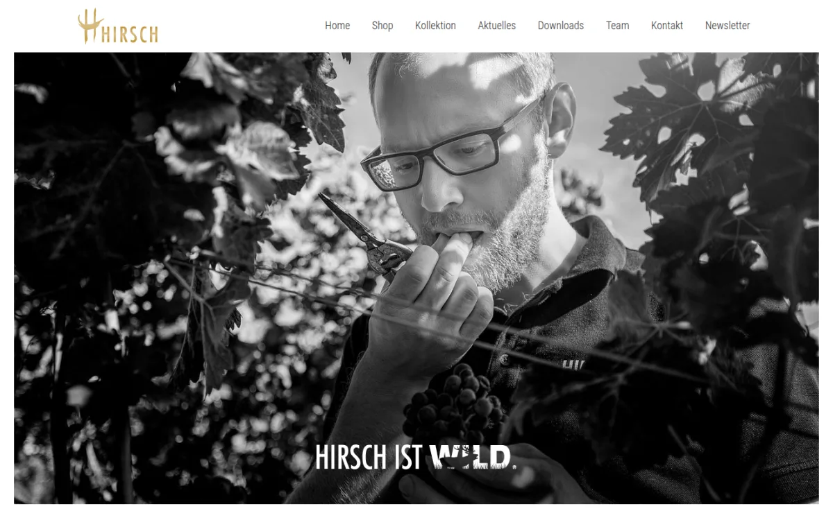 Startseite von hirsch.wine
