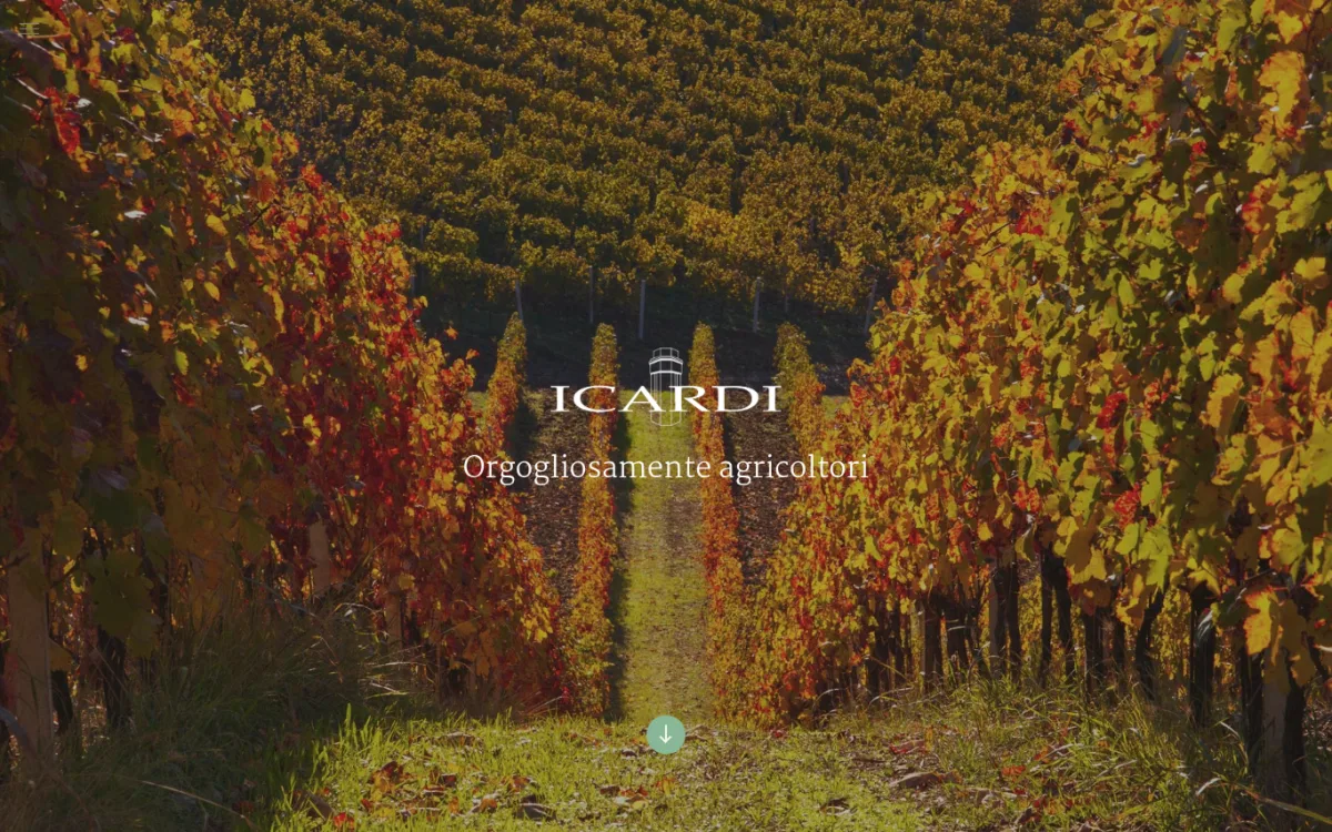 Startseite von icardivini.com