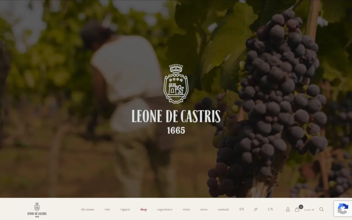 Startseite von leonedecastris.com