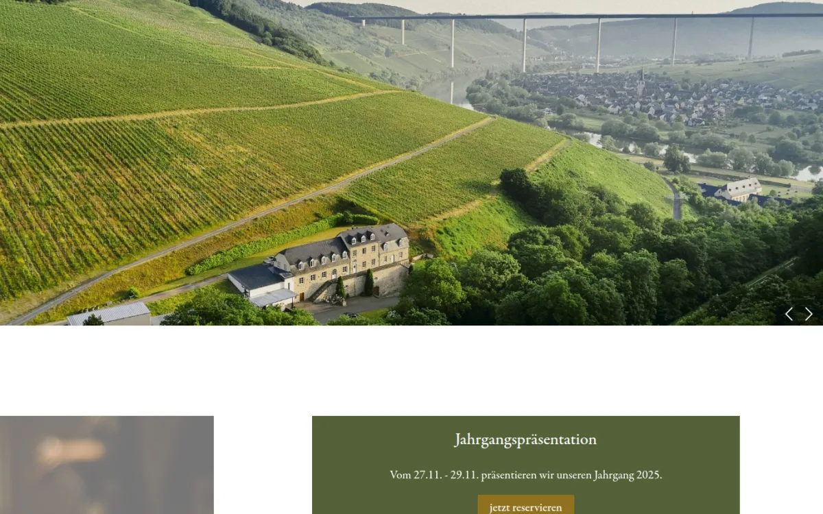 Startseite von markusmolitor.com