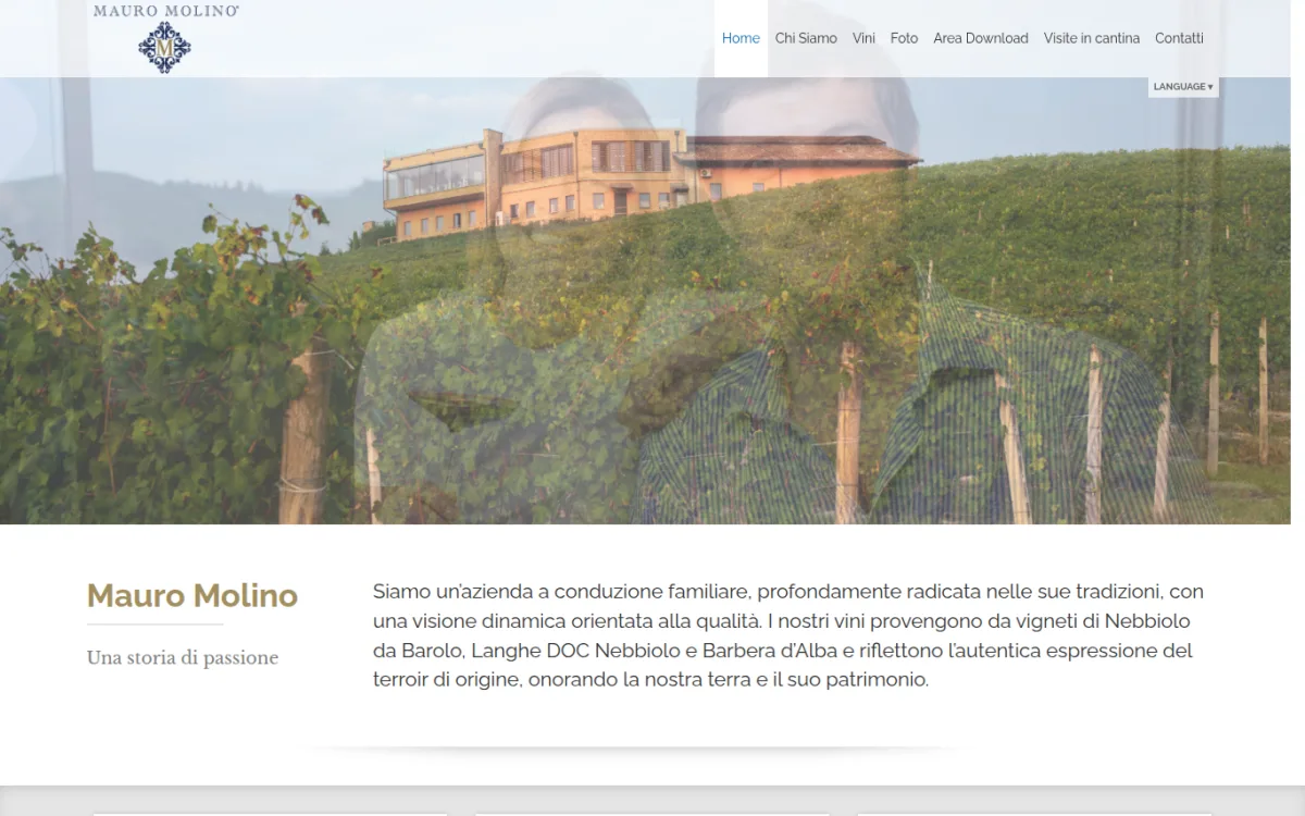 Startseite von mauromolino.com
