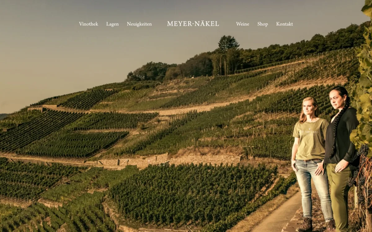 Startseite von meyer-naekel.de