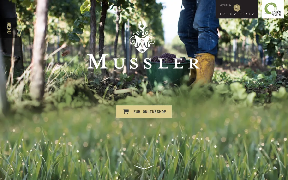 Startseite von weingut-mussler.de