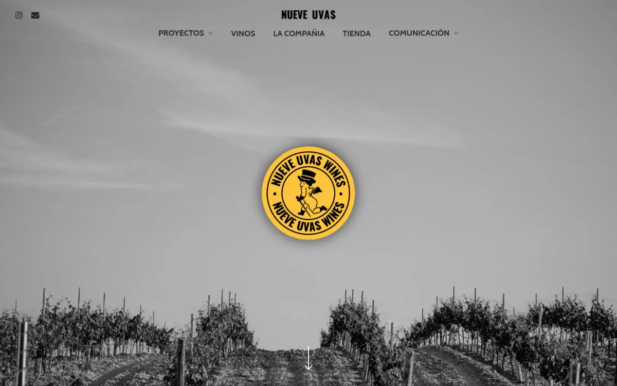 Startseite von nueveuvas.com
